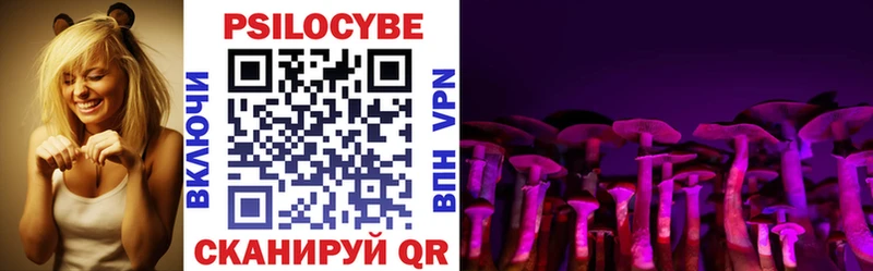 магазин продажи наркотиков  Байкальск  Галлюциногенные грибы Psilocybe 